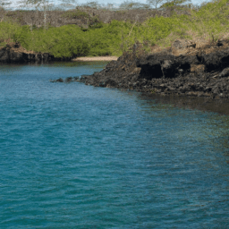 Galapagos Islands landscape Galapagos Islands landscape